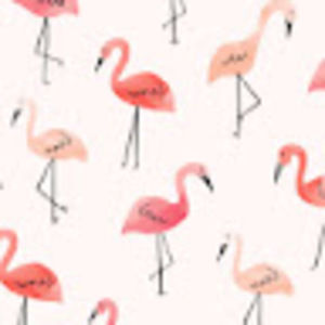 Meet your Posher, Bailey